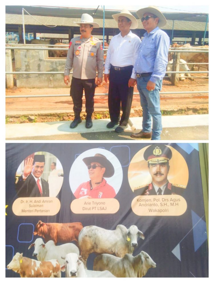 Menteri Pertanian Andi Amran Sulaiman ” Giat Kunjungan Kerja Ke Peternakan Sapi PT. LSAJ