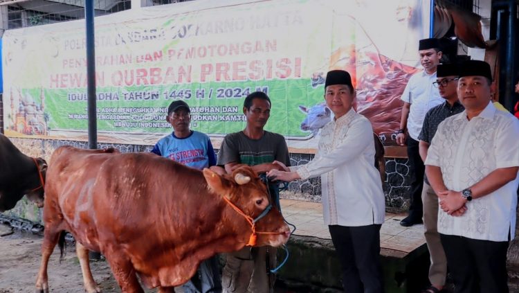 Polresta Bandara Soetta Kurban 9 Ekor Sapi dan 15 Ekor Kambing kepada Warga Sekitar Bandara