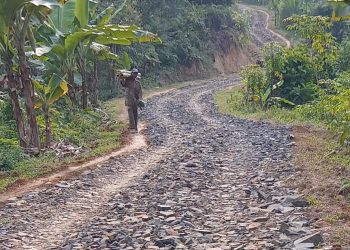 Sungguh Sangat Miris, Proyek Jalan Pengerasan Diduga Dikerjakan Asal Jadi