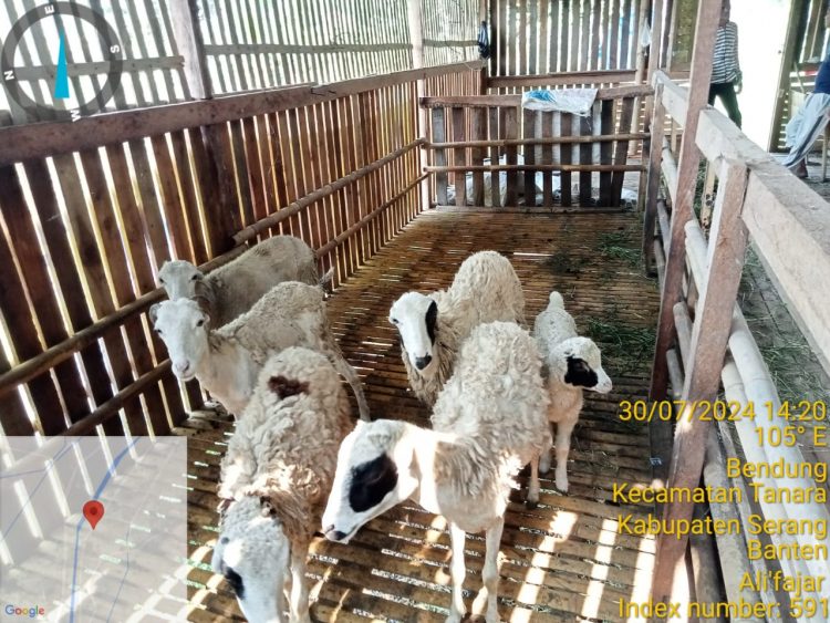 Wadaw..! Anggaran program Ketapang 2023 Di desa Bendung Tanara kades Lupa