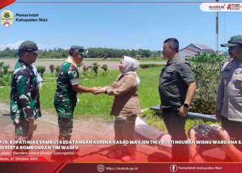 Pjs Bupati Nias Sambut Asisten Perencanaan Kasad di Bandara Binaka