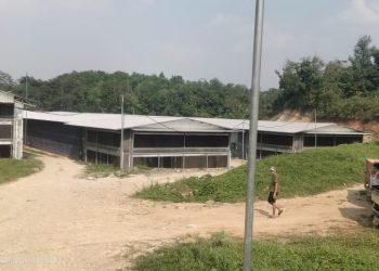 Dikeluhkan Warga Gegara Bau, Izin Perluasan Kandang Ayam PT.HCB Diduga Tak Ditempuh