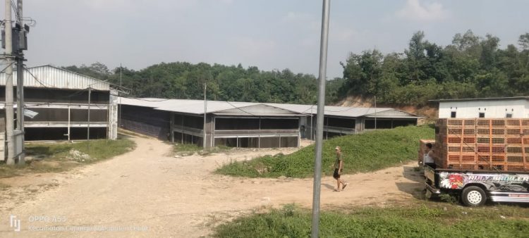 Dikeluhkan Warga Gegara Bau, Izin Perluasan Kandang Ayam PT.HCB Diduga Tak Ditempuh