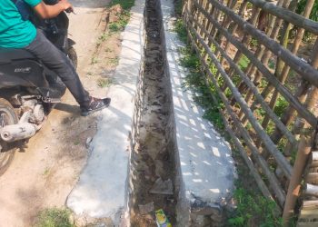 Diduga Tidak Sesuai RAB. (BK) LSM Akan Surati Pemdes Cimarga Soal Proyek DD