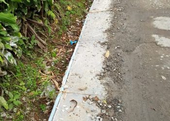 Sikap Oknum Sekdes Cibingbin Kabupaten Purwakarta terhadap Media Dipertanyakan