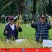 Wali Kota dan Wakil Wali Kota Gunungsitoli Hadiri Panen Raya Padi Serentak