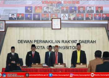 Rapat Paripurna DPRD Kota Gunungsitoli Dalam Rangka Peringatan Hari Jadi Kota Gunungsitoli ke-347 Tahun 2025