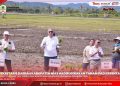 BUPATI NIAS HADIRI RAPAT PARIPURNA DPRD KAB NIAS DALAM RANGKA PENGAMBILAN PERSETUJUAN BERSAMA ATAS PEMBAHASAN RANPERDA