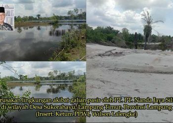 Warga Menjerit! Tambang Pasir Silika di Lampung Timur Ancam Keselamatan dan Rusak Lingkungan, PPWI Desak Penegakan Hukum!