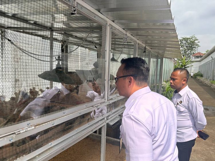 Lapas Kelas IIA Salemba Kembangkan Budidaya Ayam Kampung dengan Mesin Penetas