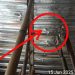 Baru Dibangun Sudah Ambles, Pembangunan RKB SDN Kelapa Dua IV Berpotensi Menelan Korban Jiwa