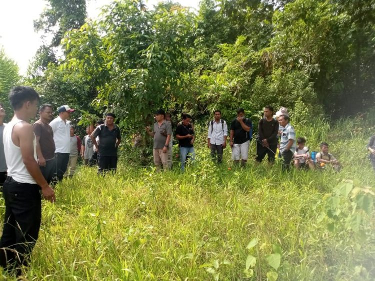 Masyarakat Desa Tetegeona’ai Padati Lahan Ketapang Saat Pembukaan