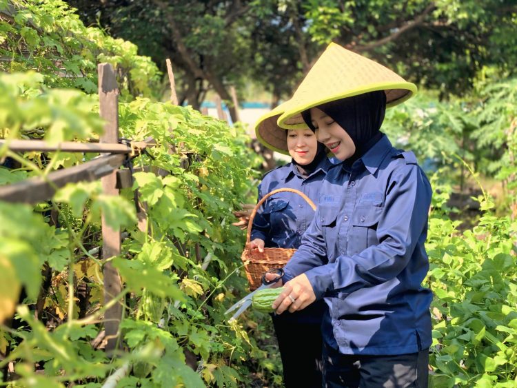 Kepala Lapas Kelas IIA Tangerang Panen Sayur Pare Bersama Warga Binaan