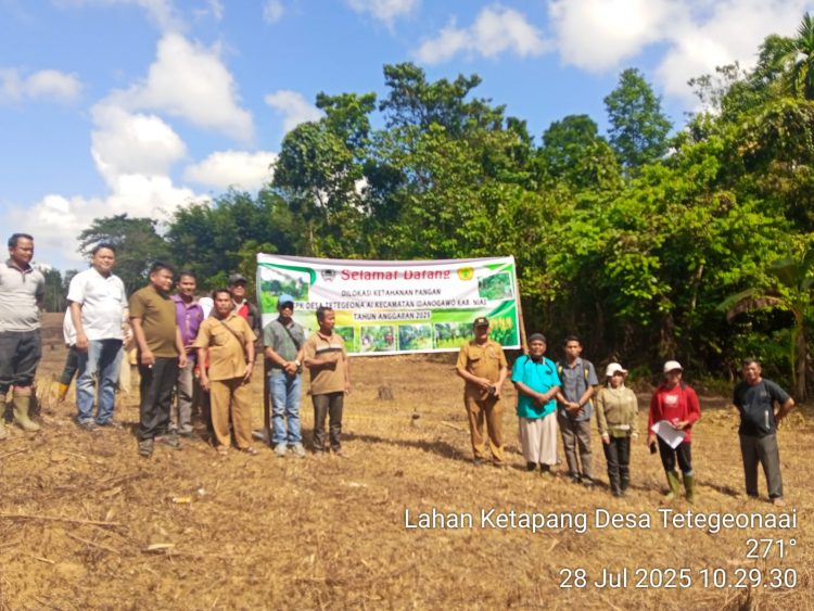 Desa Tetegeona’ai Lakukan Penanaman Perdana di Lahan Ketapang