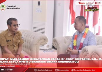 Bupati Nias Sambut Kedatangan Wakil Ketua MPR RI Di Bandara Binaka