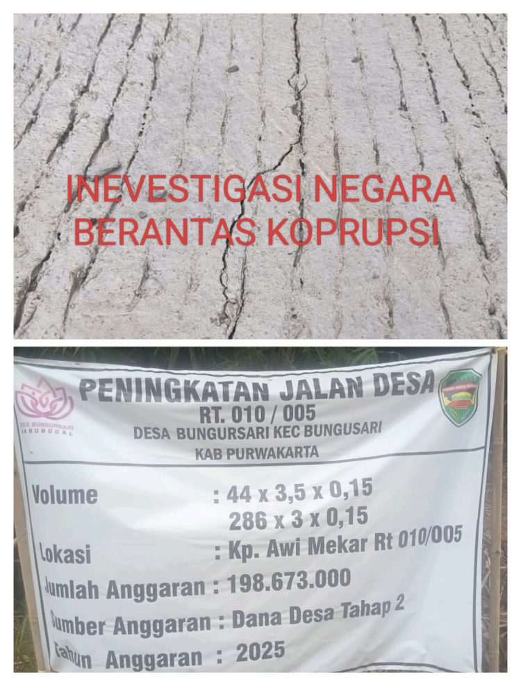 Waduh, Miris! Peningkatan Jalan Desa Bungursari Sudah Retak, Warga Kecewa Diduga Asal-Asalan