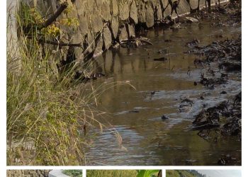 Dugaan Proyek Tambal Sulam pada Peningkatan Jaringan Irigasi Permukaan di Purwakarta