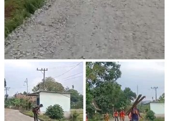 Kepala Bidang DPUTR Dina Cahyadi ST Sidak Proyek Jalan Benteng–Cirangkong yang Gunakan Kayu Bekas untuk Bekisting