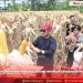 Program Ketahanan Pangan Berhasil! Bupati Nias Hadiri Panen Jagung Perdana di Lahan BUMDes Desa Umbu
