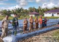 Tanam Perdana di Kelompok Tani Sinar Semi Dihadiri Kadis Ketahanan Pangan, Pertanian dan Perikanan