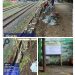 H.Udin dan Badru Sambut Positif Pembangunan TPT,Terima Kasih Karena Keluhan Kami Hari INI Rampung