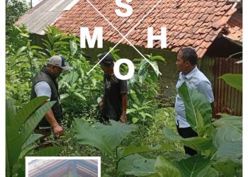 MONITORING LANGSUNG KABID DISPERKIM PURWAKARTA PROGRAM RUTILAHU DI LAPANGAN