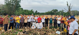 Bupati Nias dan Ketua DPRD Panen Jagung Pioneer 32 di Desa Orahili