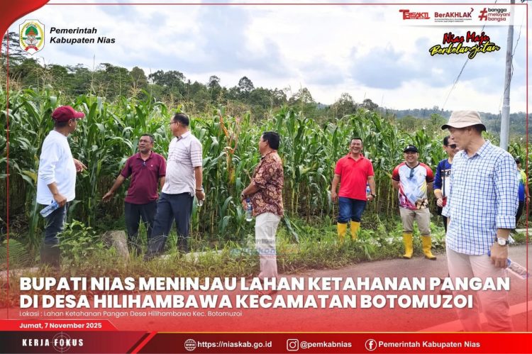 BUPATI NIAS TINJAU LAHAN KETAHANAN PANGAN DI DESA HILIHAMBAWA, KECAMATAN BOTOMUZOI