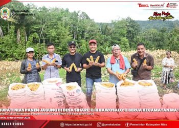 BUPATI NIAS BERSAMA KETUA DPRD PANEN JAGUNG DI DESA SIHARE’O III BAWOSALO’O BERUA