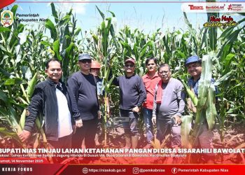 BUPATI NIAS & KETUA DPRD TINJAU LAHAN KETAHANAN PANGAN DI DESA SISARAHILI BAWOLATO