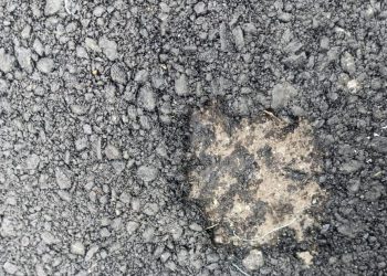 Anggarannya Diduga Dipangkas, LipanHam Berharap Camat Cisauk Desak Kontraktor Gelar Ulang Hotmix di Sampora