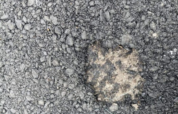 Anggarannya Diduga Dipangkas, LipanHam Berharap Camat Cisauk Desak Kontraktor Gelar Ulang Hotmix di Sampora