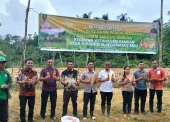 Panen Perdana Jagung Hibrida di Ketapang Desa Sihare’o III, Bupati Nias Himbau Agar Dikelola Dengan Jujur