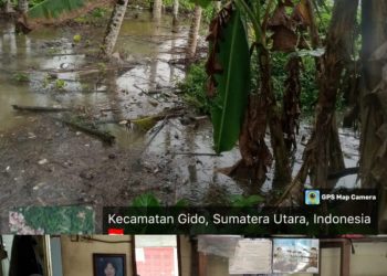 Faduhusa Harefa Minta Kementerian PUTR Lakukan Pembersihan Gorong – gorong di Hiliweto Gido