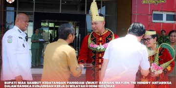 BUPATI NIAS SAMBUT KEDATANGAN PANGDAM I/BUKIT BARISAN DI BANDARA BINAKA