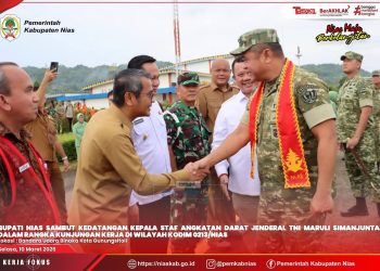 BUPATI NIAS SAMBUT KEDATANGAN KASAD DI BANDARA BINAKA, GUBERNUR SUMUT TURUT HADIR