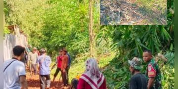 Pemerintah Desa Cigelam Ngaronjat Laksanakan Padat Karya Tunai, Bangun Bahu Jalan dan Drainase