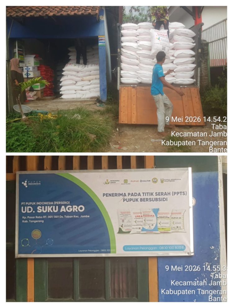 Petani Taban Ditolak Beli Pupuk Subsidi, Distribusi di Kecamatan Jambe Jadi Sorotan