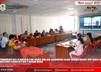PEMKAB NIAS GELAR AUDIENSI DAN WORKSHOP PIP DAU-SG BIDANG KESEHATAN TAHUN 2026