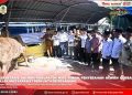 SEKDA NIAS PIMPIN PENYERAHAN HEWAN QURBAN, AJAK MASYARAKAT PERKUAT KEBERSAMAAN