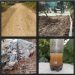 Diduga Gunakan “Anggaran Siluman”, Proyek Jalan Poros Desa di Keboncau-karangnunggal Disorot, Kualitas Pekerjaan Dipertanyakan