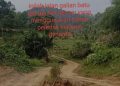 Diduga mengunakan BAHAN Peledak / Bidamit Tanpa Izin yang Sah, Aktivitas Tambang Batu meresahkan Warga?