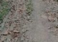 Tak Berkualitas Alias Asal Jadi , Jalan Poros Desa Di Kampung Ciparai Arah pasir Kamarang. Baru Satu Tahun Rusak Parah