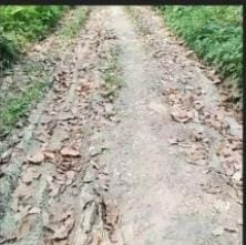 Diduga Jalan Poros Desa Ciparai Baru Dibangun Tahun 2024 Kini Rusak Parah, Anggaran Ratusan Juta Disorot Tajam Warga