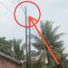 Pemasangan Tiang Myrepublic di Kampung Bojong Nangka Diduga ilegal, LSM PEMI Desak Lurah Medang Kroscek Legalitas