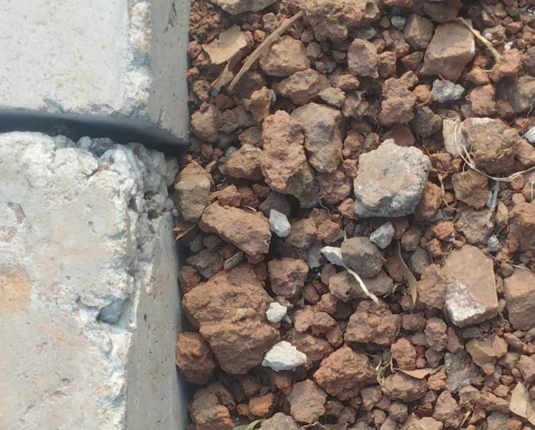 Penataan Taman Cluster Kaliandra Tak Kunjung Dievaluasi, LipanHam : Kami Nggak Butuh Catatan Tapi Ketegasan PPTK
