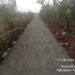 Proyek Paving Blok di Desa Taban Diduga Kualitasnya Buruk, LipanHam Minta PPTK untuk Ganti Material